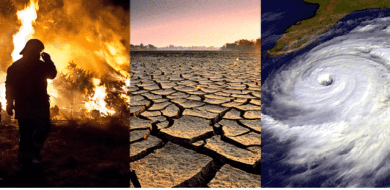 지구 온난화 원인 ‘99%가 인간 탓’