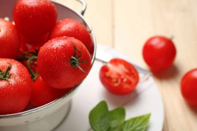 인체에 치명적인 토마토 | 영양가 200% 높여주는 올바른 섭취 방법